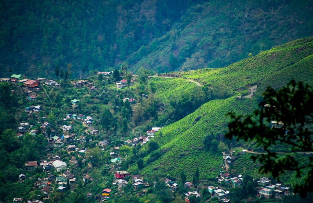 Lopchu village surrounded by tea gardens near Darjeeling in North Bengal